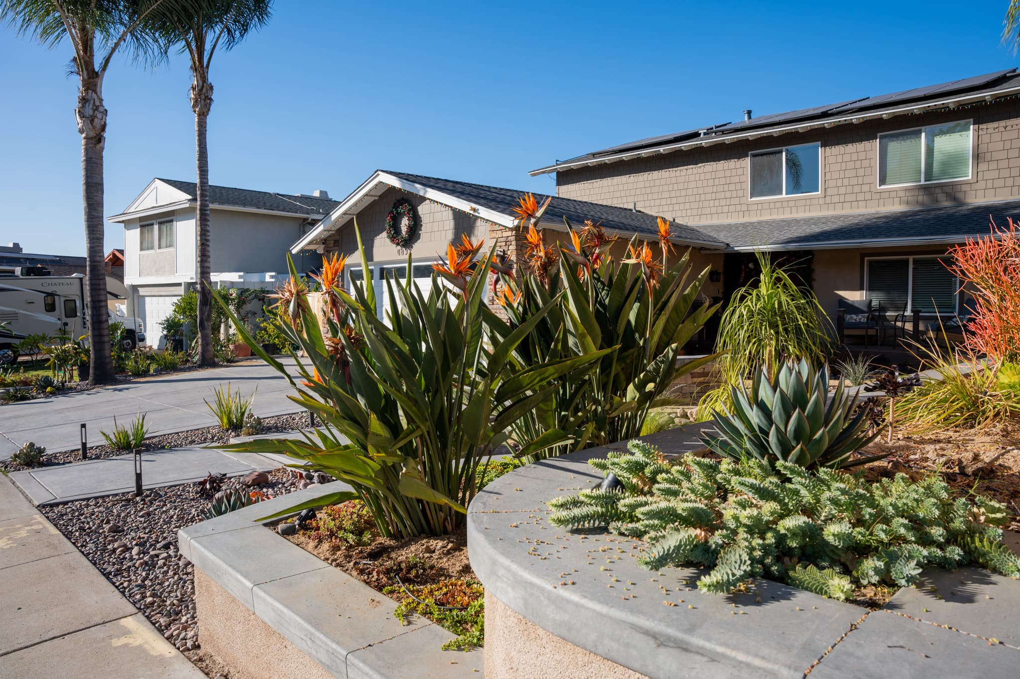 Drought-tolerant landscape with succulents, river rocks, and modern hardscaping in San Diego.