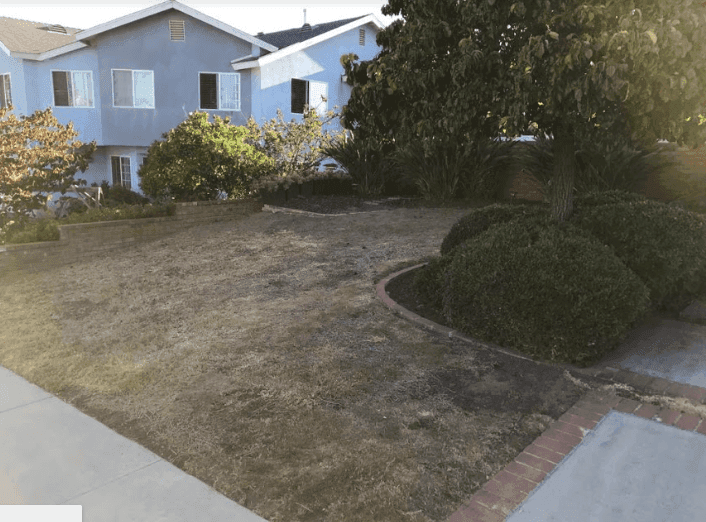 clairemont mesa landscape before