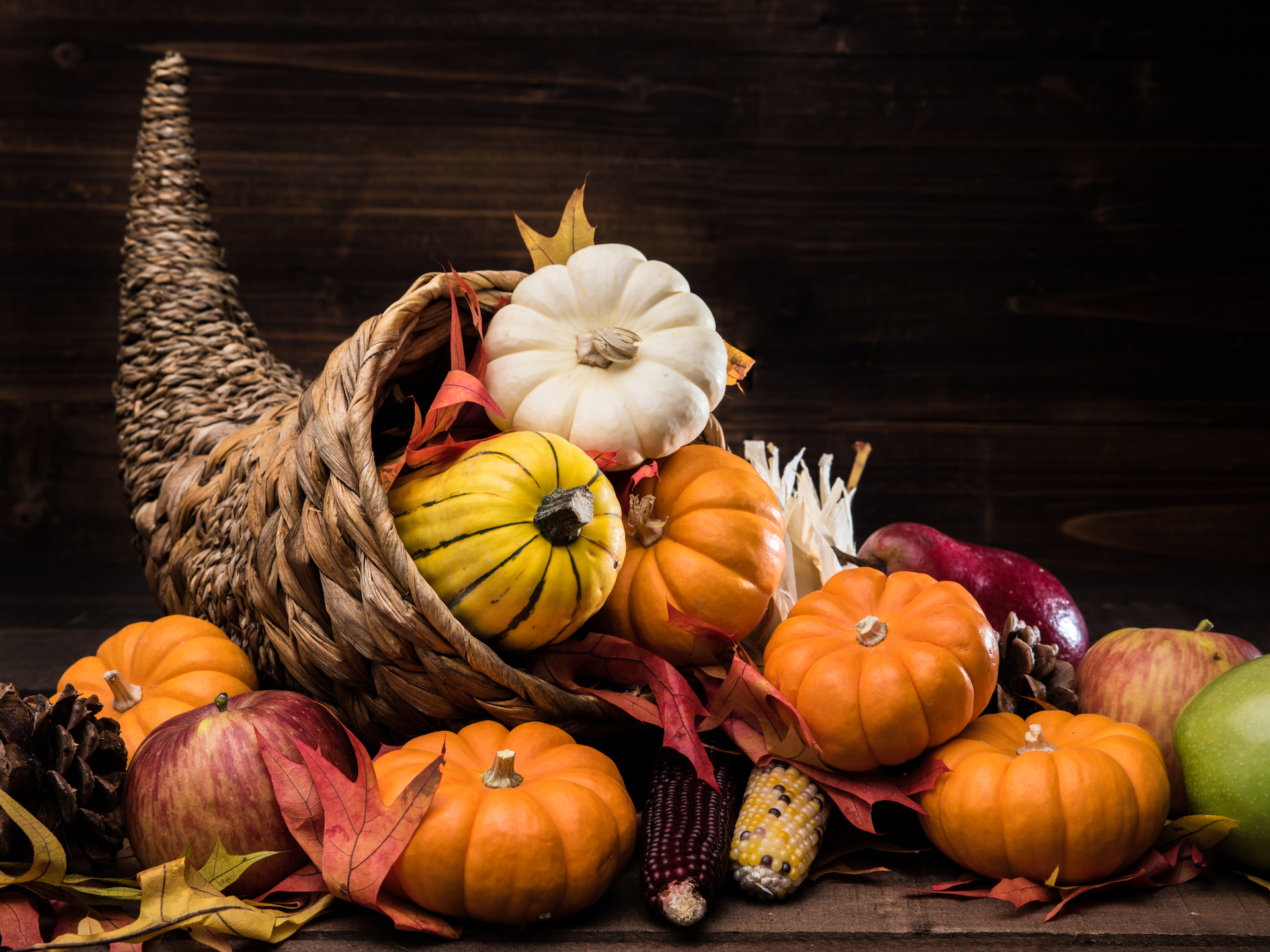 Horn of Plenty with Squash