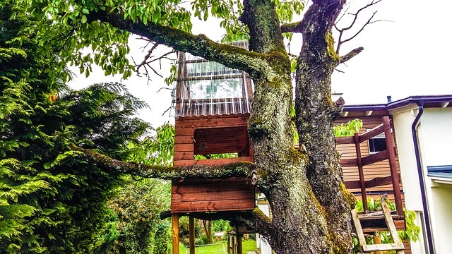 Tree House