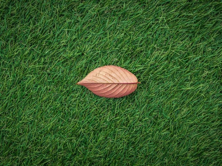 Artificial turf with a leaf in the middle