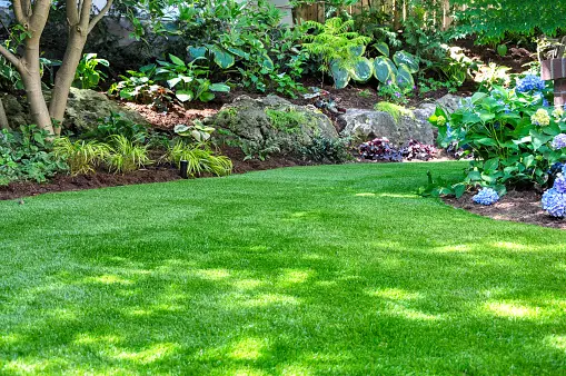 front yard landscape design