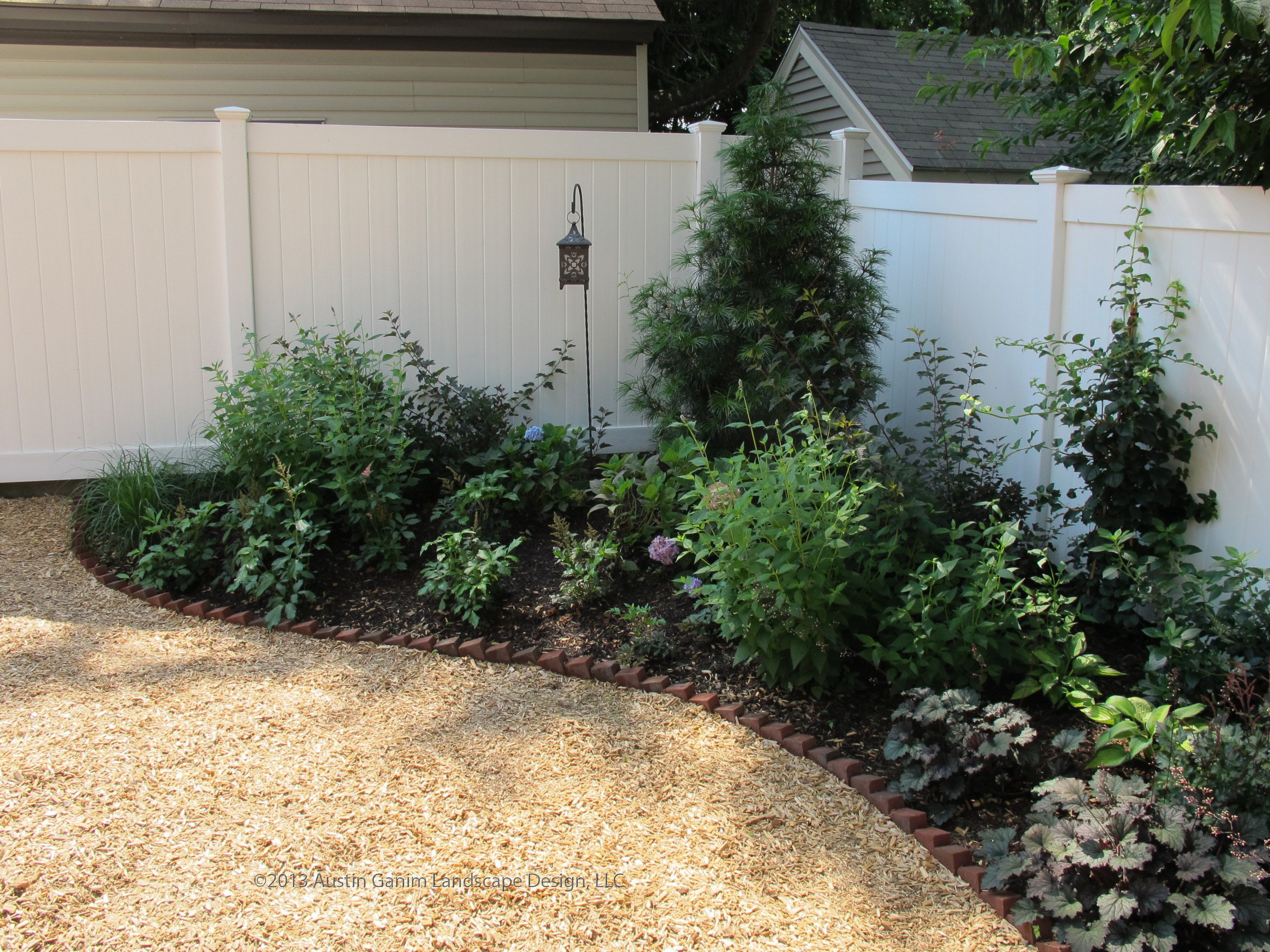 Dog friendly hot sale yard