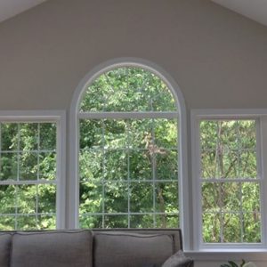 Family Room Windows