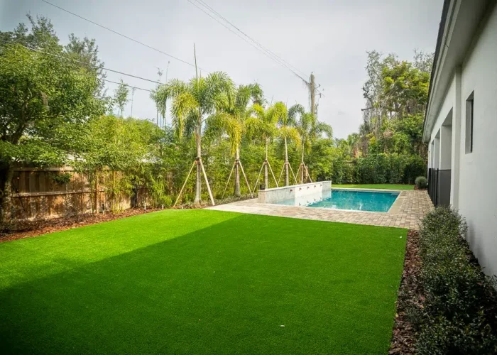 backyard remodeling