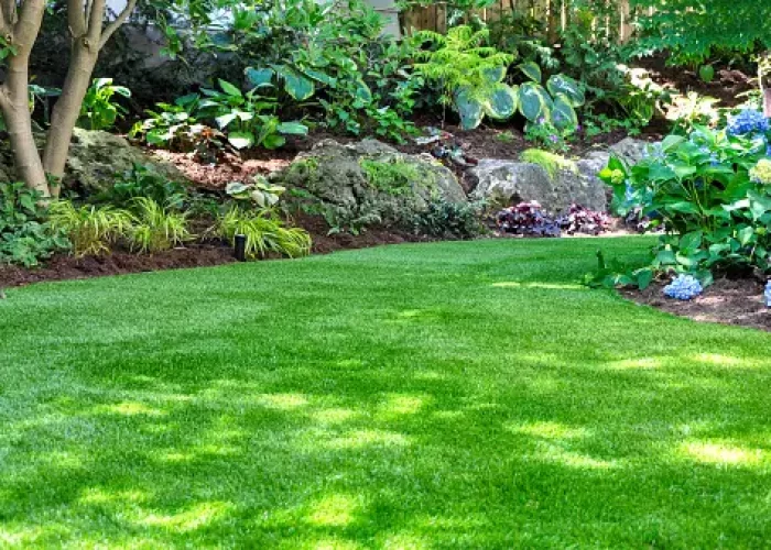 front yard landscape design